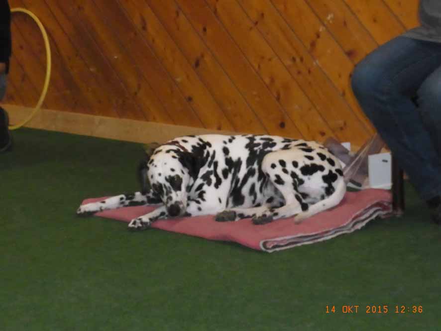 Ick ruh' mir aus.jpg (886 x 665)